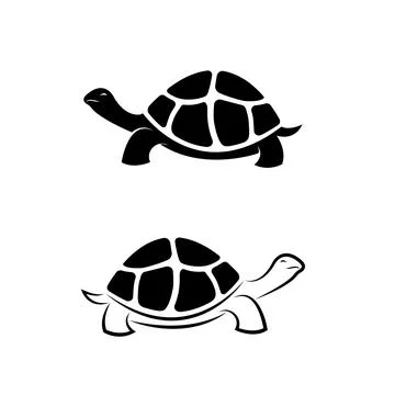 Vector of land tortoise design on white background. Easy editable layered vec Stockillustratie