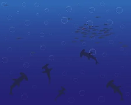 Vector landscape with silhouettes of the seabed with different types of fish  Stock Illustration