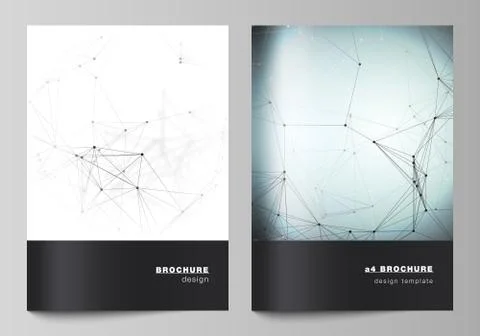 The vector layout of A4 format cover mockups design templates for brochure イラスト素材