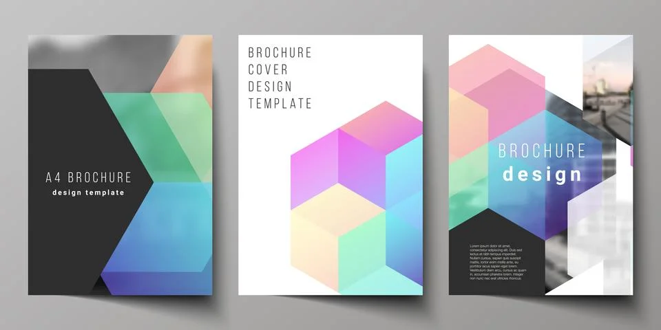Vector layout of A4 format cover mockups design templates with colorful hexagons Illustrazione stock