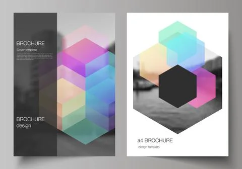 Vector layout of A4 format cover mockups design templates with colorful hexagons Illustrazione stock