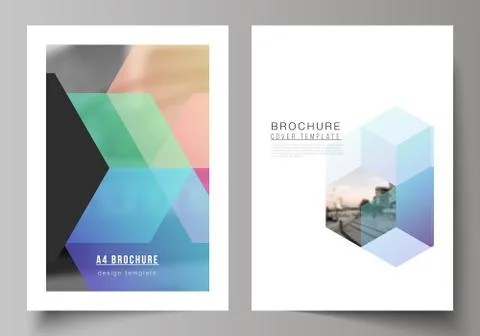 Vector layout of A4 format cover mockups design templates with colorful hexagons Illustrazione stock