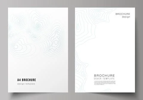 The vector layout of A4 format modern cover mockups design templates for Stock Illustration