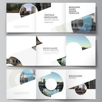 Vector layout of square covers templates for trifold brochure, flyer, magazine Stock Illustration