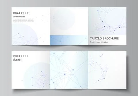 Vector layout of square format covers templates for trifold brochure, flyer Stock Illustration