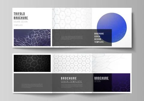 Vector layout of square format covers design templates for trifold brochure Stock Illustration