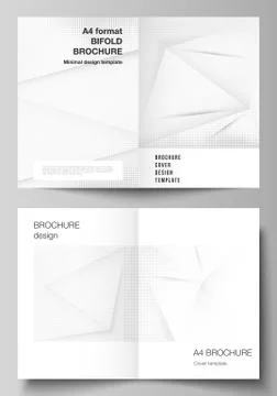 Vector layout of two A4 cover mockups design templates for bifold brochure Stock Illustration