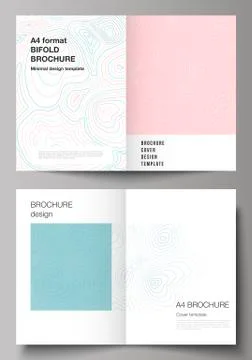 The vector layout of two A4 format modern cover mockups design templates for Stock Illustration