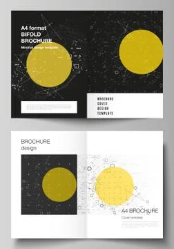 Vector layout of two A4 format modern cover mockups design templates for bifold Stock Illustration