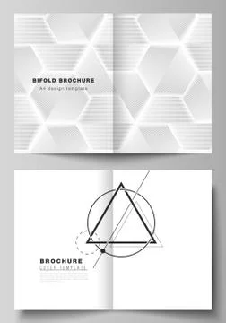 Vector layout of two A4 format modern cover mockups design templates for bifold Stock Illustration