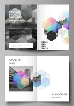 Vector layout of two A4 format cover mockups design templates with abstract Stock Illustration