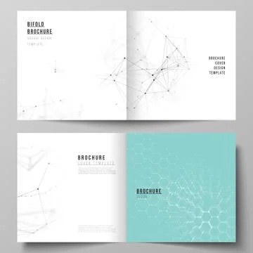 Vector layout of two covers templates for square design bifold brochure, flyer Stockillustratie