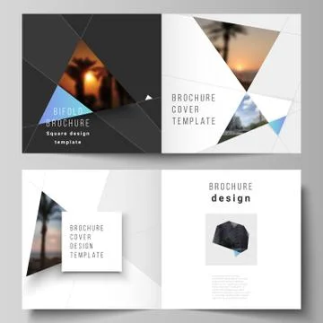The vector layout of two covers templates for square design bifold brochure Stock Illustration