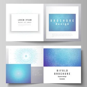 The vector layout of two covers templates for square design bifold brochure Stock Illustration