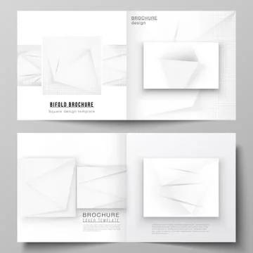 Vector layout of two covers templates for square design bifold brochure, flyer Stock Illustration