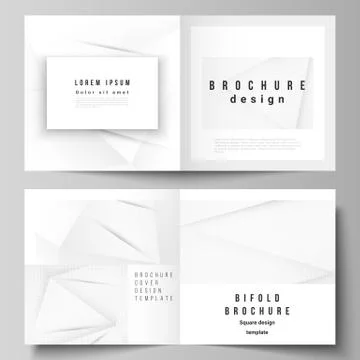 Vector layout of two covers templates for square design bifold brochure, flyer Stock Illustration