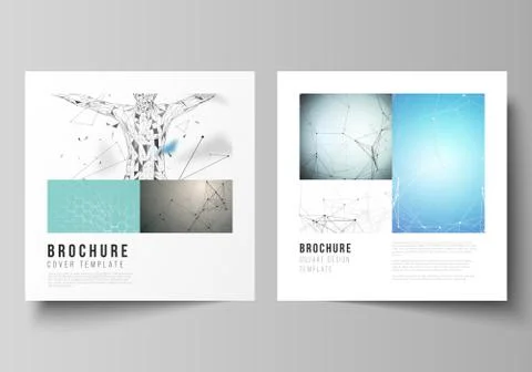 The vector layout of two square format covers design templates for brochure Stock Illustration