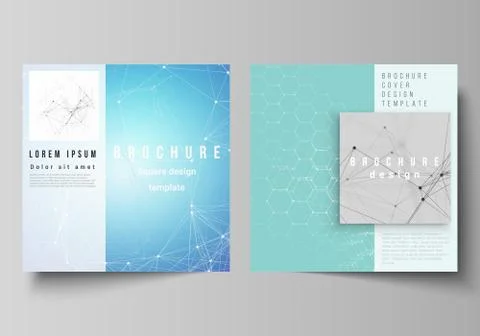 The vector layout of two square format covers design templates for brochure イラスト素材