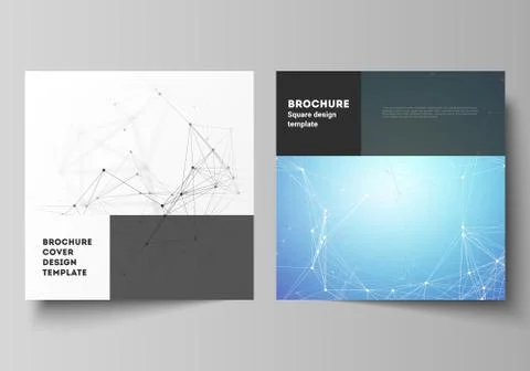 The vector layout of two square format covers design templates for brochure,  스톡 일러스트