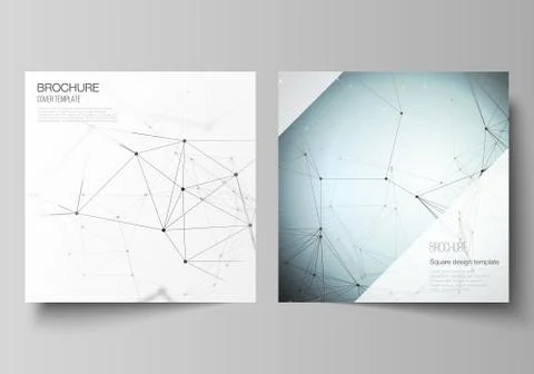 The vector layout of two square format covers design templates for brochure Stock Illustration