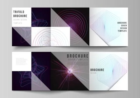 Vector layout of two square format covers design templates for trifold square 스톡 일러스트