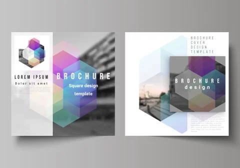 Vector layout of two square format covers design templates with colorful Illustrazione stock
