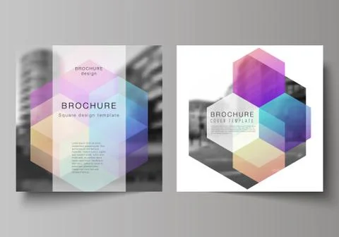 Vector layout of two square format covers design templates with colorful 스톡 일러스트