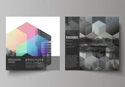 Vector layout of two square format covers design templates with colorful Illustrazione stock
