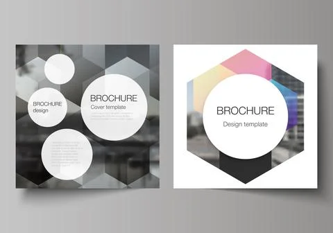 Vector layout of two square format covers design templates with colorful Stock Illustration