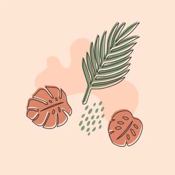 Vector layouts with hand-drawn tropical shapes and textures. Stock Illustration
