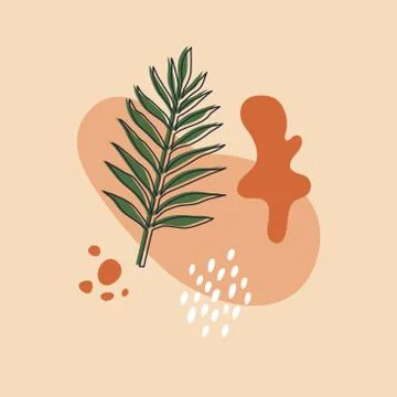 Vector layouts with hand-drawn tropical shapes and textures. Stock Illustration