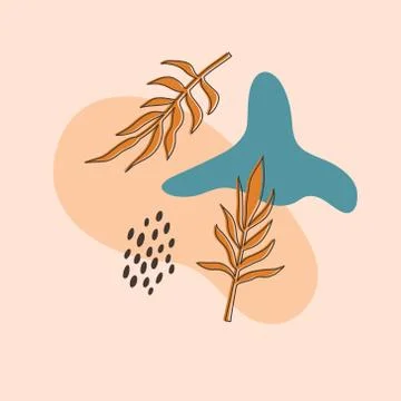 Vector layouts with hand-drawn tropical shapes and textures. Stock Illustration