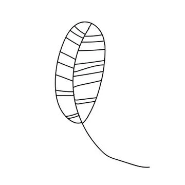 The vector leaf of the banana hand drawn. Tropical and botanical Stock Illustration