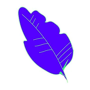 The vector leaf of the blue banana hand drawn. Tropical and botanical Stock Illustration
