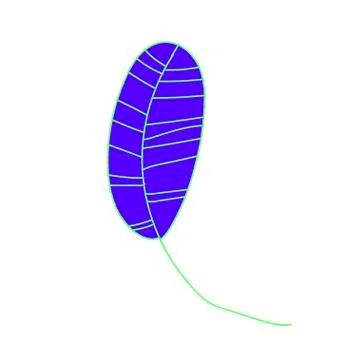 The vector leaf of the blue banana hand drawn. Tropical and botanical Stock Illustration