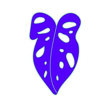 The vector leaf of the blue monstera hand drawn. Tropical and botanical Stock Illustration