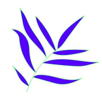 The vector leaf of the blue palm hand drawn. Tropical and botanical Stock Illustration