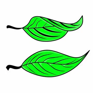 Vector leaf icon set on white background Stock Illustration