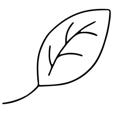 Vector Leaf Illustration Isolated on White Background. Stock Illustration