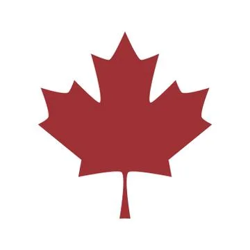 Vector leaf of maple tree Stock Illustration