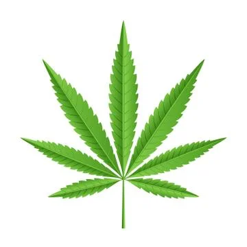 Vector leaf of marijuana Stock Illustration