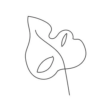 The vector leaf of the monstera hand drawn. Tropical and botanical Stock Illustration