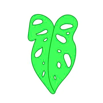 The vector leaf of the monstera hand drawn. Tropical and botanical Stock Illustration