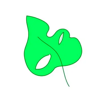 The vector leaf of the monstera hand drawn. Tropical and botanical Stock Illustration