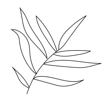 The vector leaf of the palm hand drawn. Tropical and botanical illustration Stock Illustration