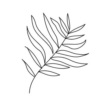 The vector leaf of the palm hand drawn. Tropical and botanical illustration Stock Illustration