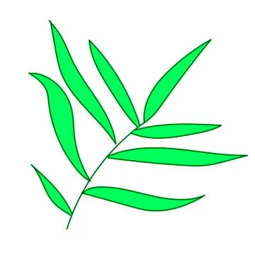 The vector leaf of the palm hand drawn. Tropical and botanical illustration Stock Illustration
