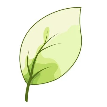 A vector leaf with soft green hues on a white background. Stock Illustration