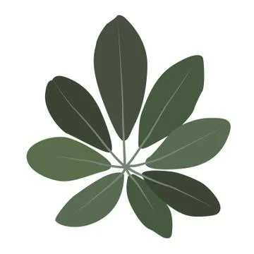 Vector leaf for your ideas Stock Illustration