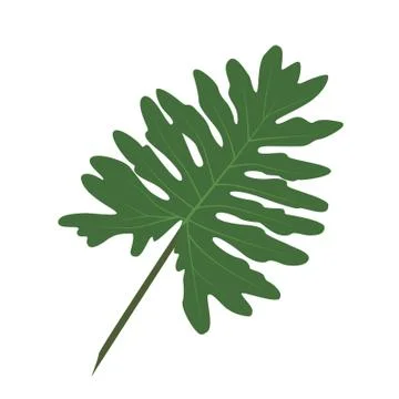 Vector leaf for your ideas Stock Illustration